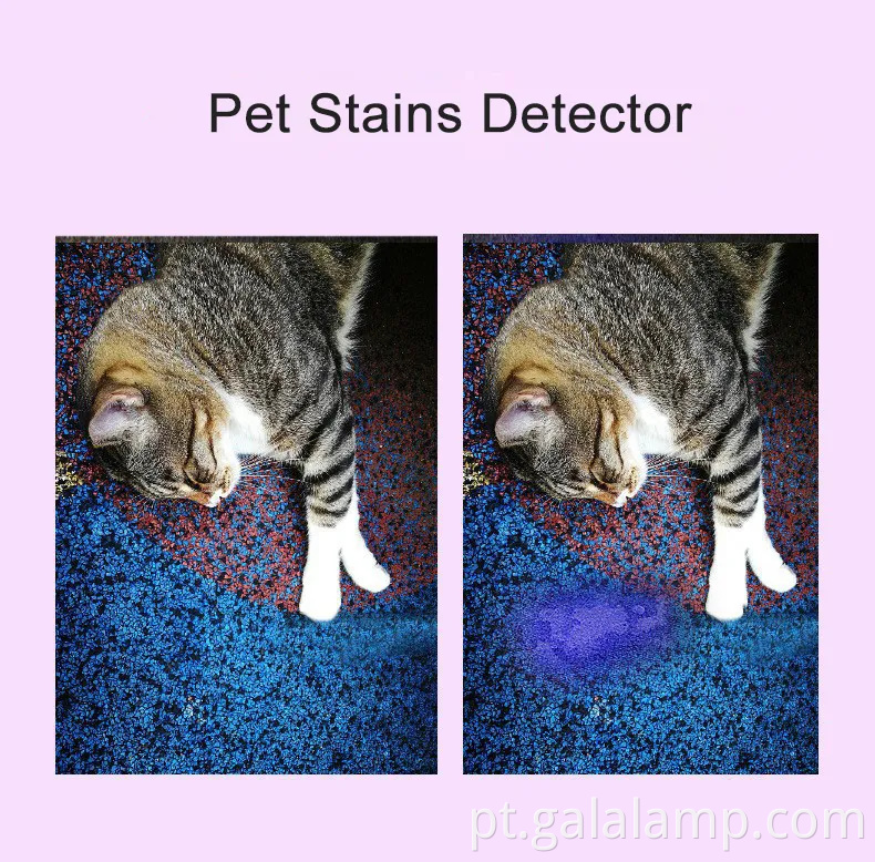 Lanterna UV portátil de 365nm com Blacklight recarregável e 5 modos